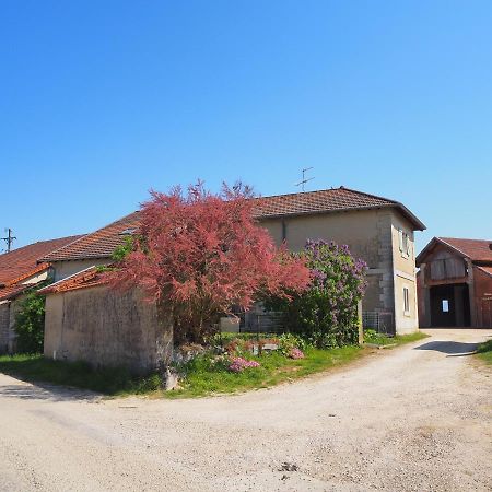 Le Gite Du Haut Chatillon-la-Palud Bagian luar foto